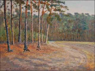 Kraj borovho lesa za Rokytnem, 2009, olej na lepence (60x80)
