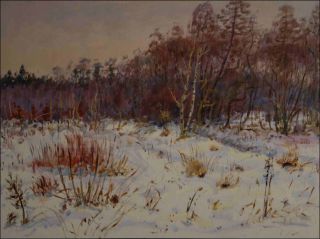 Kraj lesa v zim u Oplatila, 2011, olej na lepence (60x80)