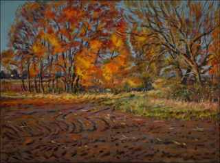 Podzim v polch ped Lukovnou, 2017, olej na lepence (60x80)