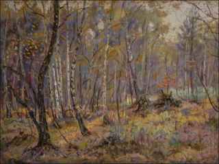 Podzimn les mezi Staroernskem a Sezemicemi, 2011, olej na lepence (60x80)