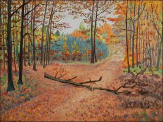 Podzimn les za Staroernskem, 2008, olej na lepence (60x80)