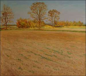 Pole mezi Sezemicemi a Rokytnem, 2006, olej na lepence (70x80)