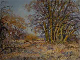 Stromov na bezch Chrudimky u Hostovic v jarnm slunci, 2013, olej na lepence (60x80)