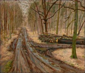 V lese u ern za Bory, 2007, olej na lepence (60x70)