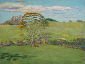 Pastures beyond Kerikeri near Kerikeri Inlet, 2007, oil on canvas panel (45x61)