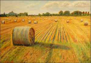 With Straw Reels between Poply And Sezemice, 2006, oil on canvas panel (70x100)