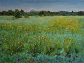 With a Meadow of Yellow Flowers off Sezemice, 2009, oil on canvas panel (60x80) 