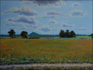 In Contrejour lighting over Meadows beyond Bohumile, 2009, oil on canvas panel (60x80)