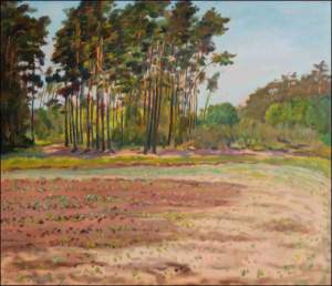 Pinewood near Rokytno, 2008, oil on canvas panel (60x70) 