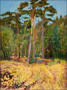 Pine Forest next to Ddek Village near Bohdane, 2008, oil on canvas panel (60x80)