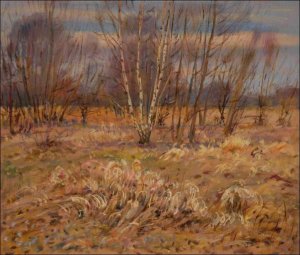 Birches and dry grass behind Svtkov in the direction of Srnojedy, 2020, oil on canvas panel (60x70)