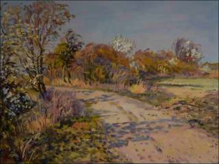 A Road with Bushes in Blossom beyond Rokytno towards Draho, 2014, oil on canvas panel (60x80)