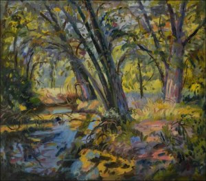 The Chrudimka River near Hostovice, 2014, oil on canvas panel (70x80)