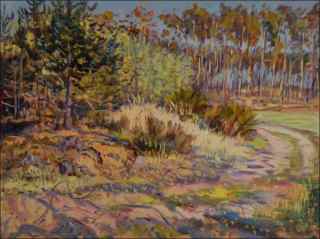 Broom Bushes on the edge of a pine forest behind Rokytno, 2019, oil on canvas panel (60x80)