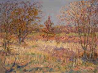 Spring willows, black berries and a young oak near Labe beyond Rosice, 2020, oil on canvas panel (60x80)