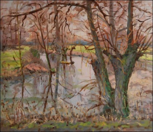 Spring Floods near Hostovice, 2009, oil on canvas panel (60x70) 