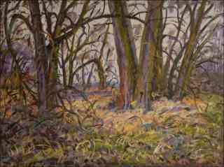 Poplars Trunks on The Bank of Chrudimka near Hostovice, 2014, oil on canvas panel (60x80)