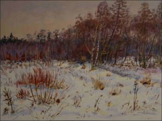 Forest County next to Oplatil Sand-pit in Winter, 2011, oil on canvas panel (60x80)  