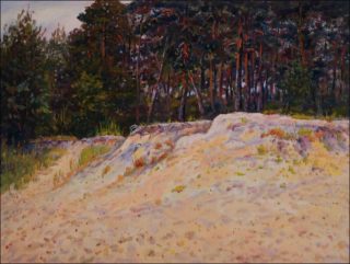 Region of Sand and Pine trees next to A Sand-pit in Mlice, 2010, oil on canvas panel (60x80)