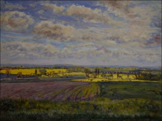 A Scenery with Rape Fields off The Road from hetice to Topol, 2013, oil on canvas panel (60x80) 