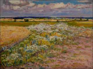 Blooming Chamomile in Fields between Chote and Doln edice, 2015, oil on canvas panel (60x80)