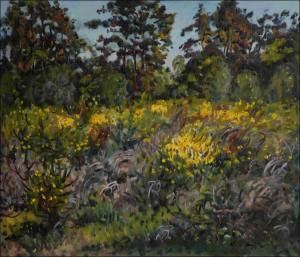 Broom in Bloom at A Moorland in Forests near Valy u Peloue, 2013, oil on canvas panel (60x70)