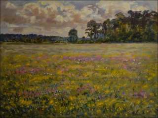 Flowering Catchflies and Butterflowers in Meadows near Doln edice, 2014, oil on canvas panel (60x80)