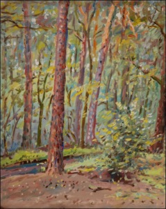 A Forest between Staroernsko And ern za Bory, 2007, oil on canvas panel (40x50)