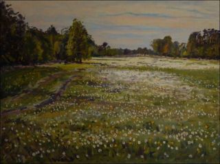 A Meadow with Overblown Dandelions near Rokytno, 2012, oil on canvas panel (60x80)