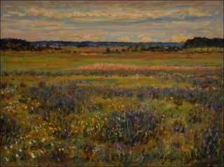 Meadows near Draho, 2019, oil on canvas panel (60x80)