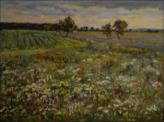 Meadows by The Road from Sezemice to Rokytno, 2014, oil on canvas panel (60x80)