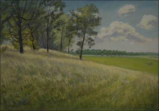 Between Bukovina nad Labem and Vysok nad Labem, 2007, oil on canvas panel (70x100)