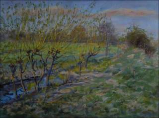 Young Willows near The Brickyard in Tunchody, 2011, oil on canvas panel (60x80) 