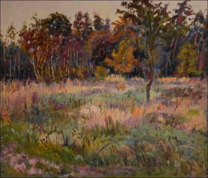 A Glade next to A Forest between Rokytno and Bohumile, 2014, oil on canvas panel (60x70)