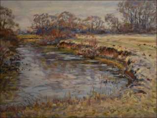 Eroded Banks of Chrudimka between Hostovice and hetick Lhota, 2013, oil on canvas panel (60x80)