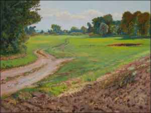 A Field between Chrudimka River And Hostovice, 2008, oil on canvas panel (60x80)