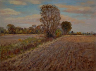 Fields along A Creek off Poaply towards Loun near Sezemice, 2010, oil on canvas panel (60x80)