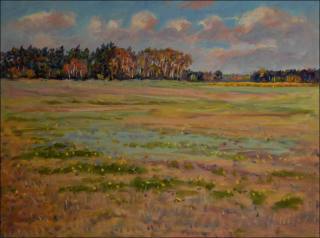 Fields with Pine Groves between Pohrnov and Hrdek, 2014, oil on canvas panel (60x80)