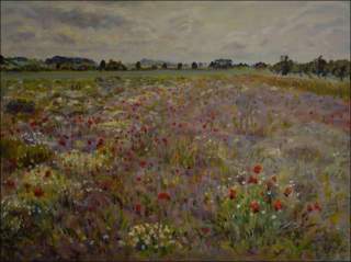 A Field with Chamomile And Corn Poppy near Mntice, 2012, oil on canvas panel (60x80)