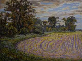 A Field with Small Corn by Chrudimka under Uhetice, 2012, oil on canvas panel (60x80)