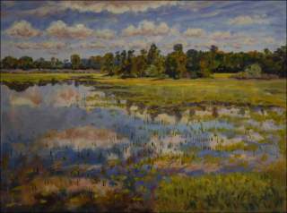 Half Filled Pond Labsk beyond Sezemice, 2012, oil on canvas panel (60x80)