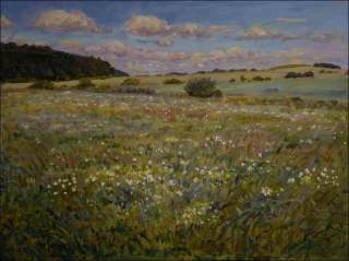 The ernov Reserve off Meadows between Draho And Doln edice, 2012, oil on canvas panel (60x80)