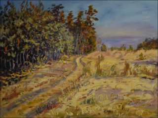 Sunny Day at The Moor near Bezdkov, 2014, oil on canvas panel (60x80)