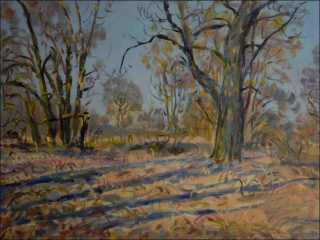 Sunny Spring Day with Old Poplars by Chrudimka beyond Hostovice, 2013, oil on canvas panel (60x80)