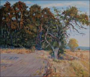 An Old Plum Tree in front of A Pinewood near Rokytno, 2009, oil on canvas panel (60x70) 