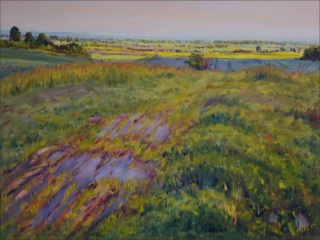 In The Fields near asy beyond Sezemice, 2010, oil on canvas panel (60x80) 