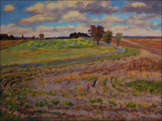 In The Fields near Draho beyond Rokytno, 2010, oil on canvas panel (60x80) 