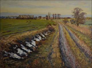 Snow Remains by A Road in Fields between Rosice and Dobrkov, 2012, oil on canvas panel (60x80)