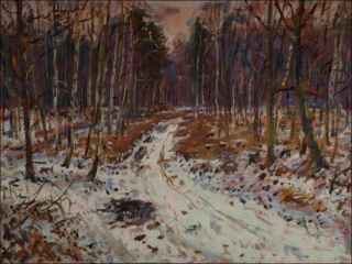 Winter in The Forest between Staroernsko and Sezemice, 2018, oil on canvas panel (60x80)