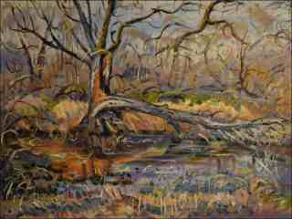 Broken Willow on The Chrudimkas Bank beyond Hostovice, 2014, oil on canvas panel (60x80)